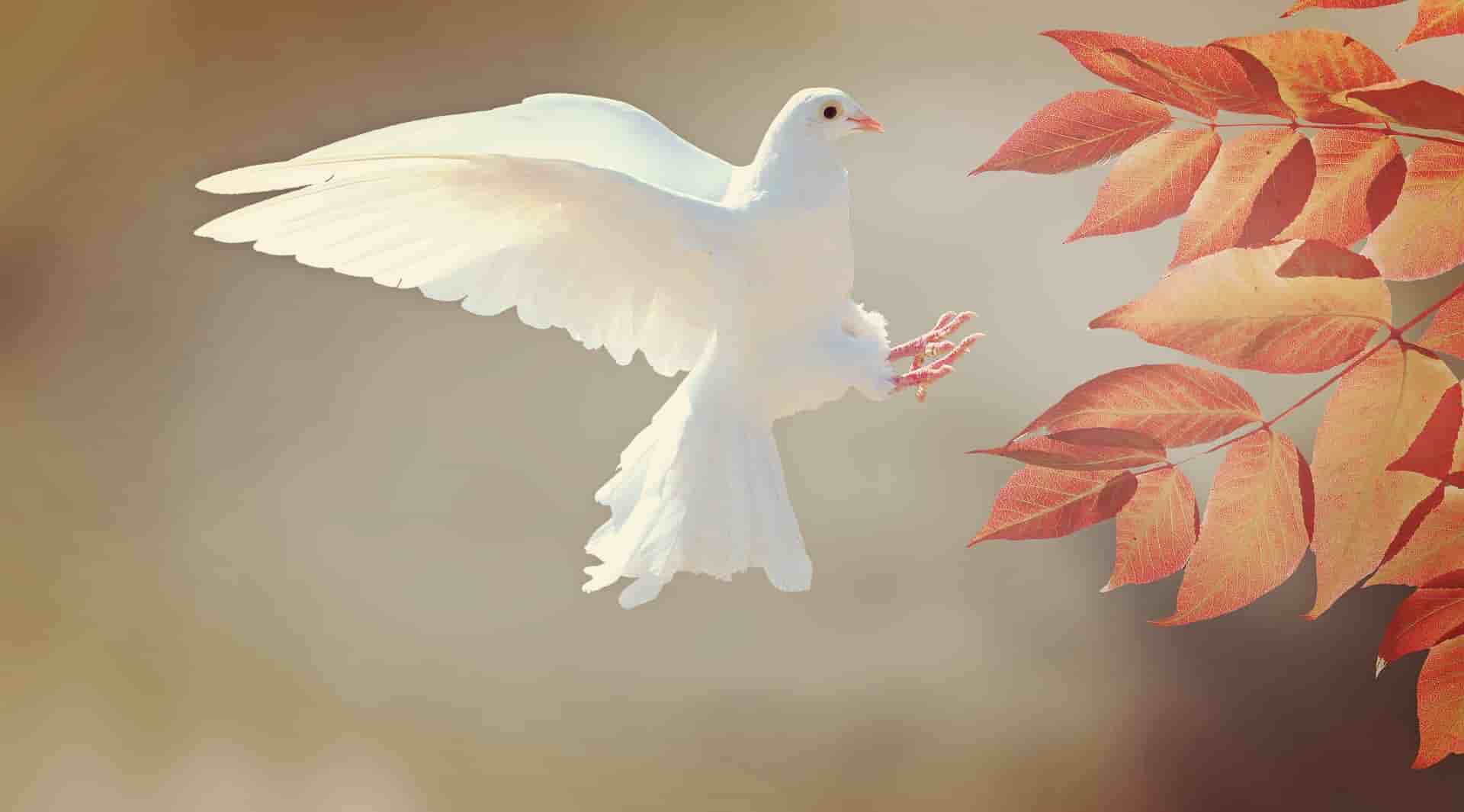 Short Morning Prayers For Strength