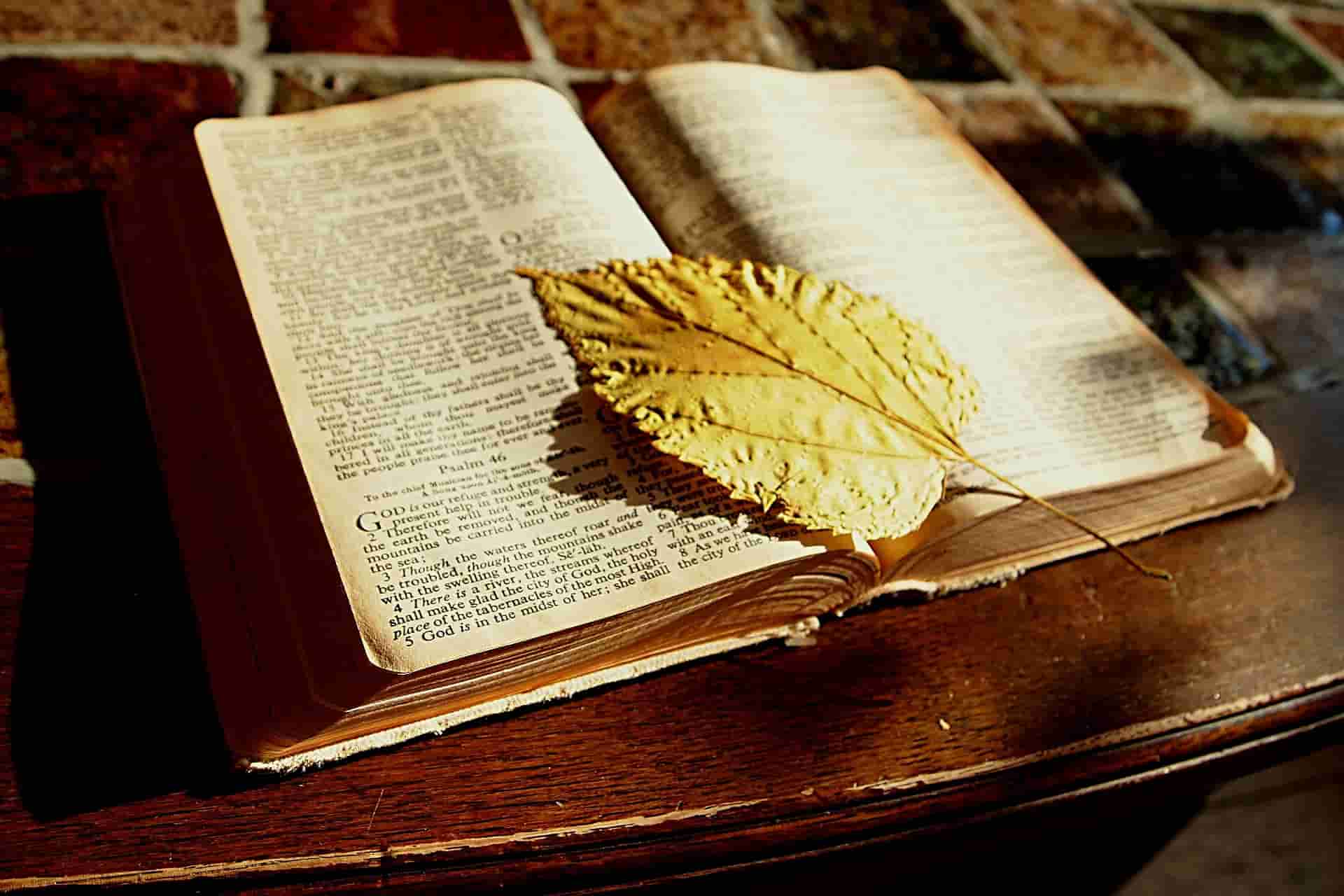 bible verses for feeling overwhelmed