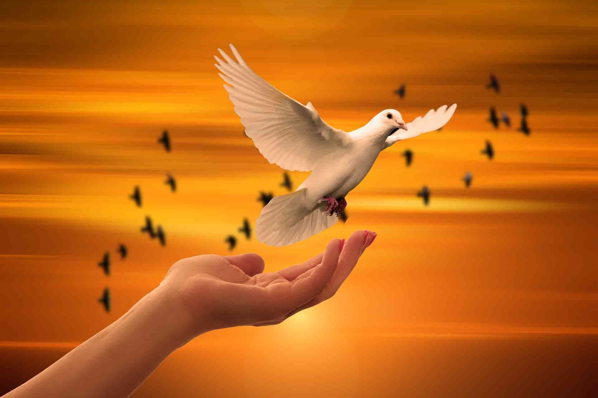 God Gives Fresh Start